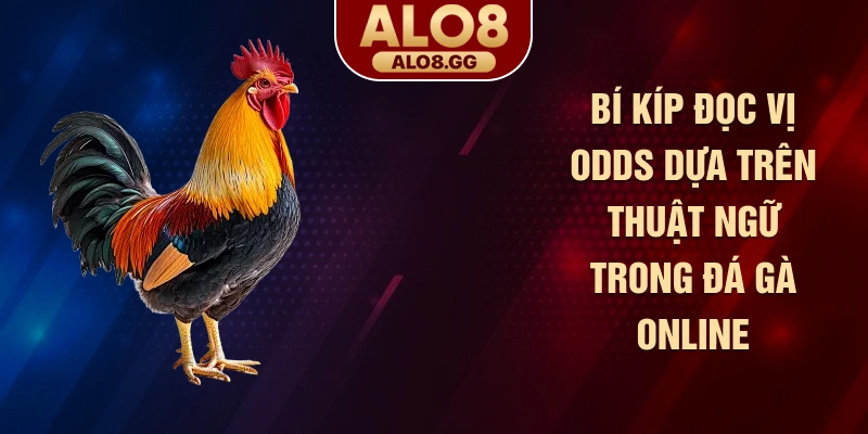 Bí kíp đọc vị Odds dựa trên thuật ngữ trong đá gà online