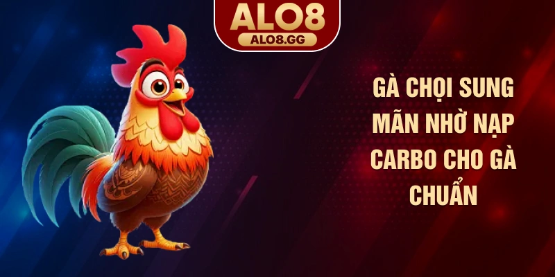 Gà chọi sung mãn nhờ nạp carbo cho gà chuẩn
