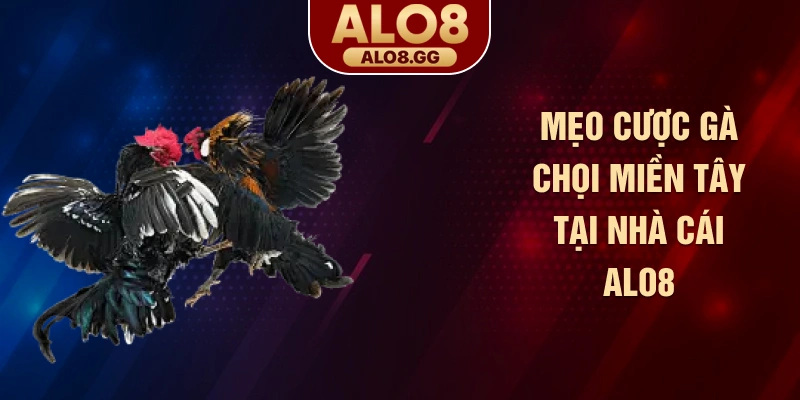 Mẹo cược gà chọi miền Tây tại nhà cái ALO8