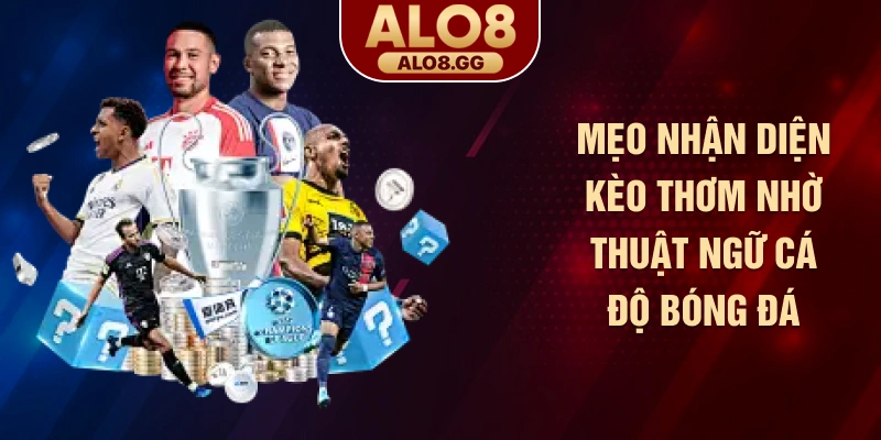 Mẹo nhận diện kèo thơm nhờ thuật ngữ cá độ bóng đá