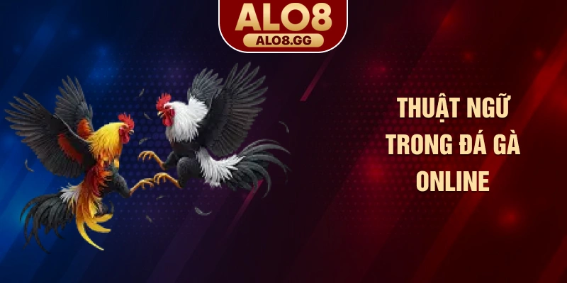 Thuật ngữ trong đá gà online