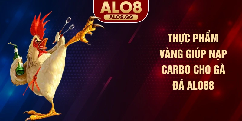 Thực phẩm vàng giúp nạp carbo cho gà đá ALO88